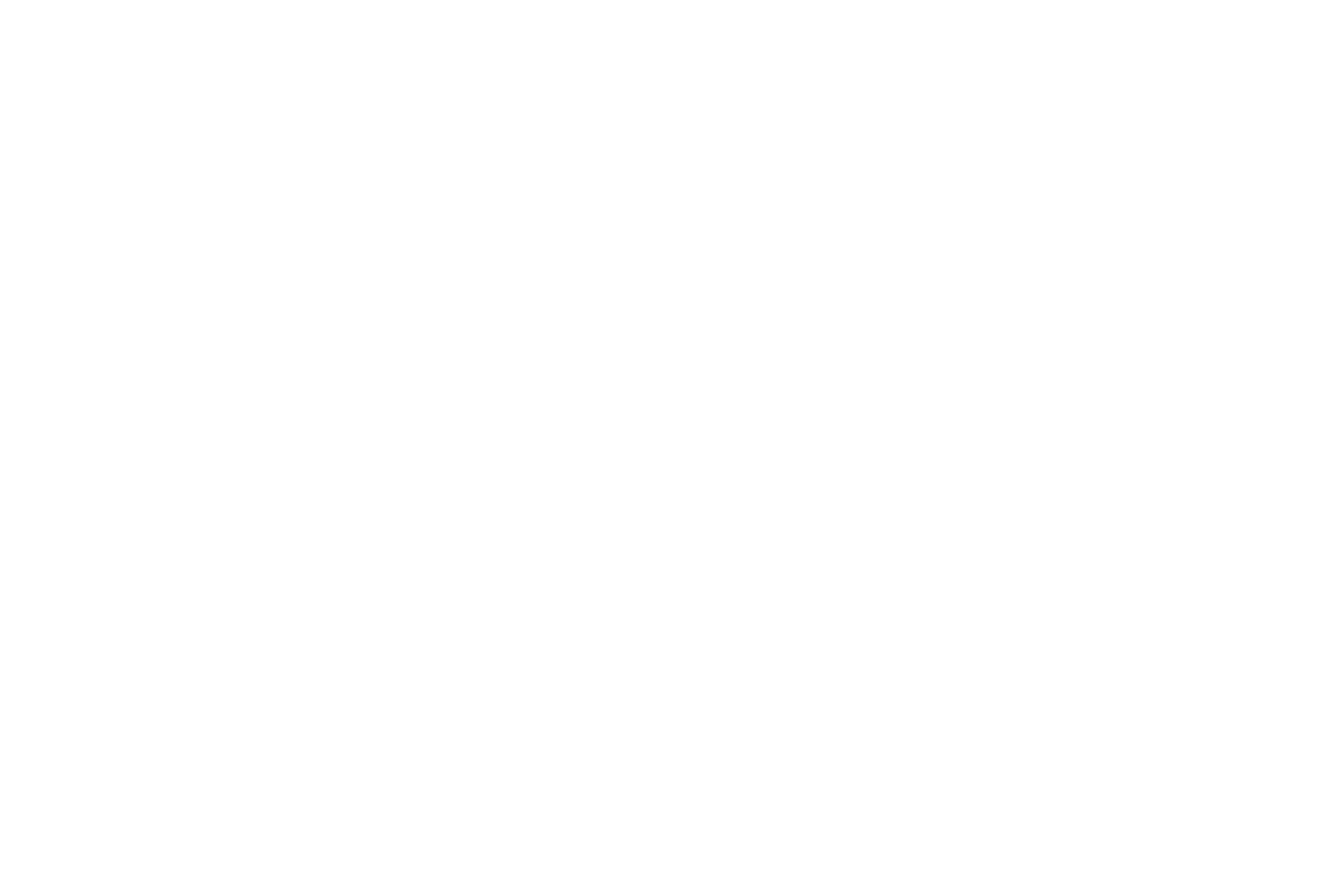Logo of 亚西塔 瓦尔纳库拉索里亚